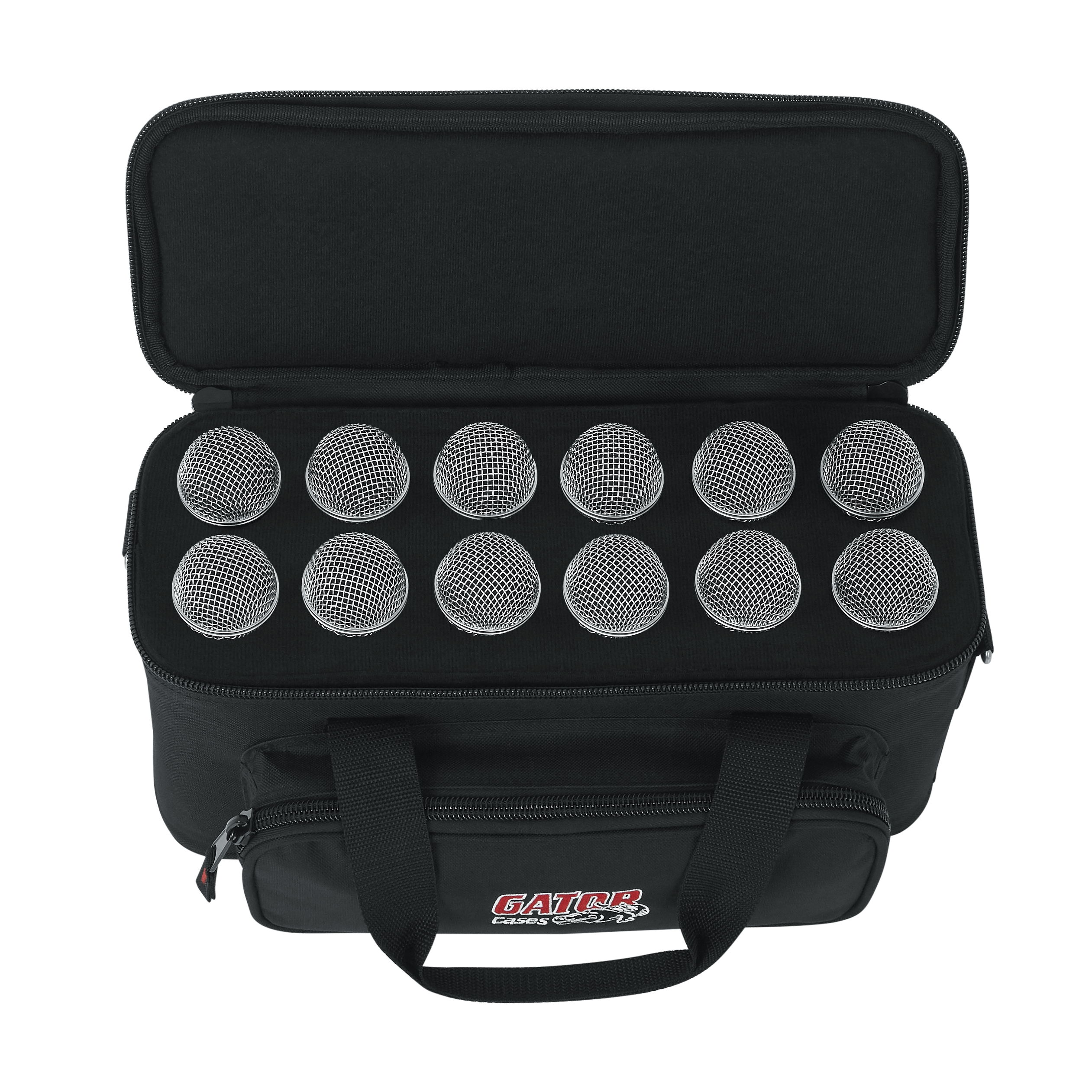 12 Microphones Bag