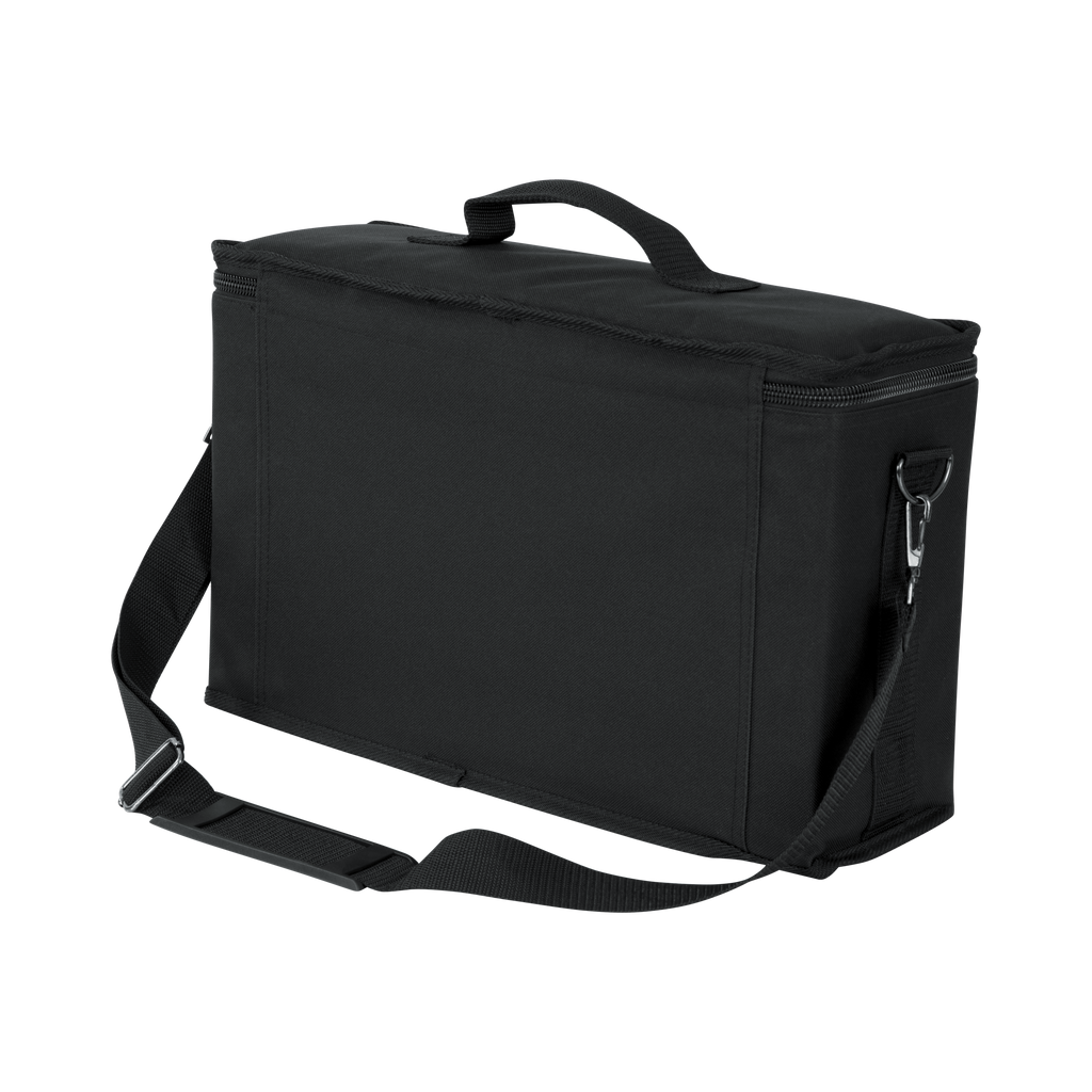 2 Wireless Systems Bag