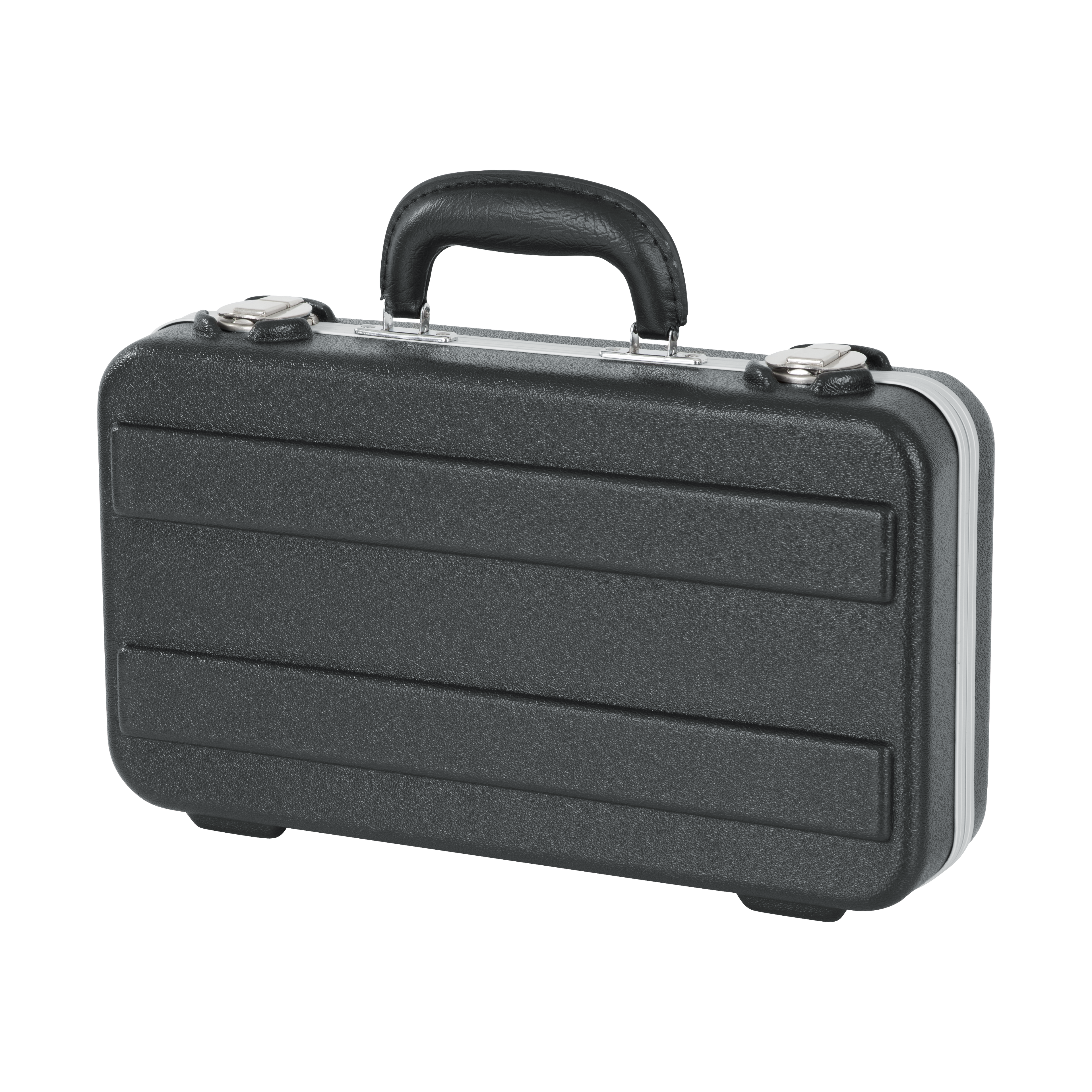 6 Microphones Case