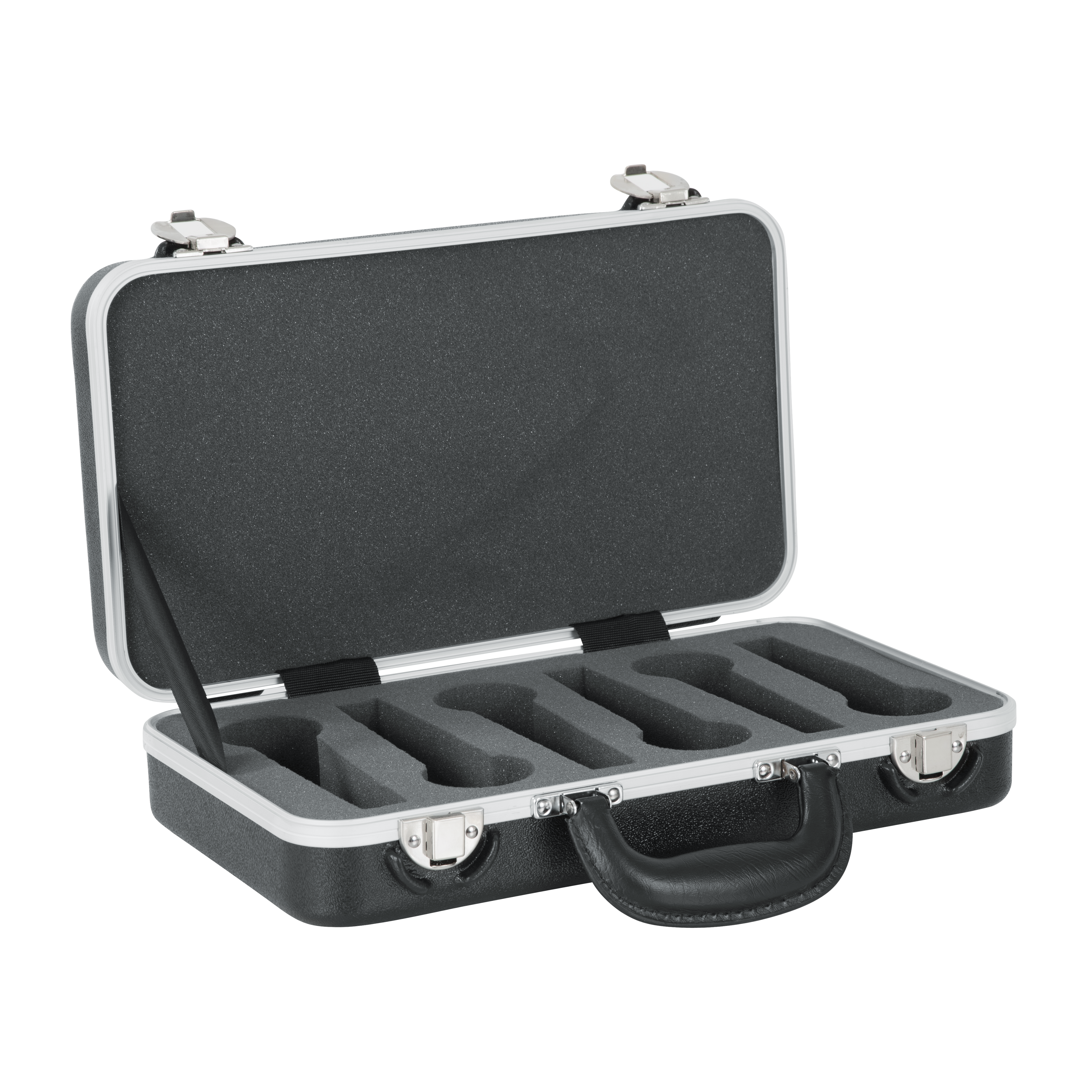 6 Microphones Case
