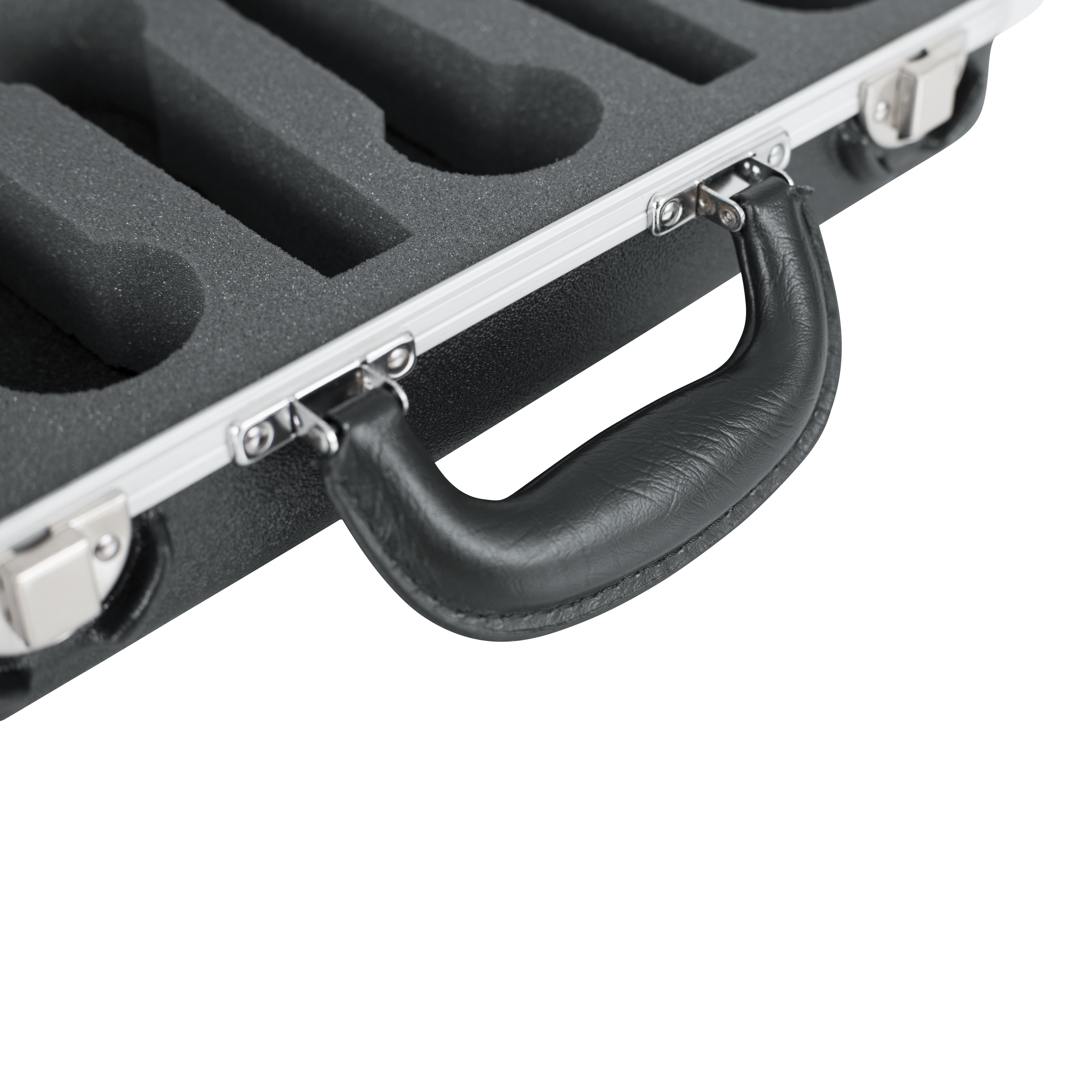 6 Microphones Case