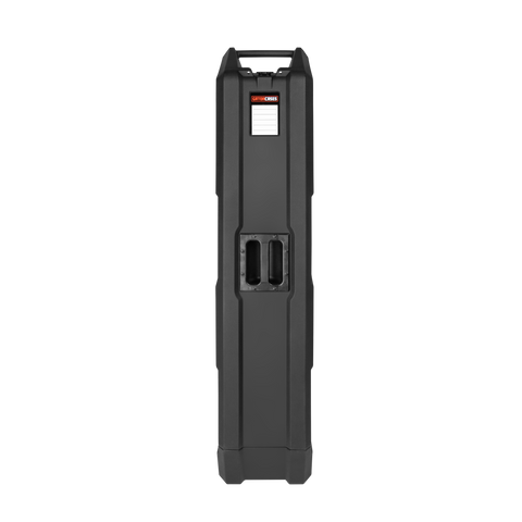 Mini Vault for 2 Electric Bass Guitars