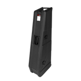 Mini Vault for 2 Electric Bass Guitars