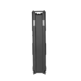 Mini Vault for 2 Electric Bass Guitars