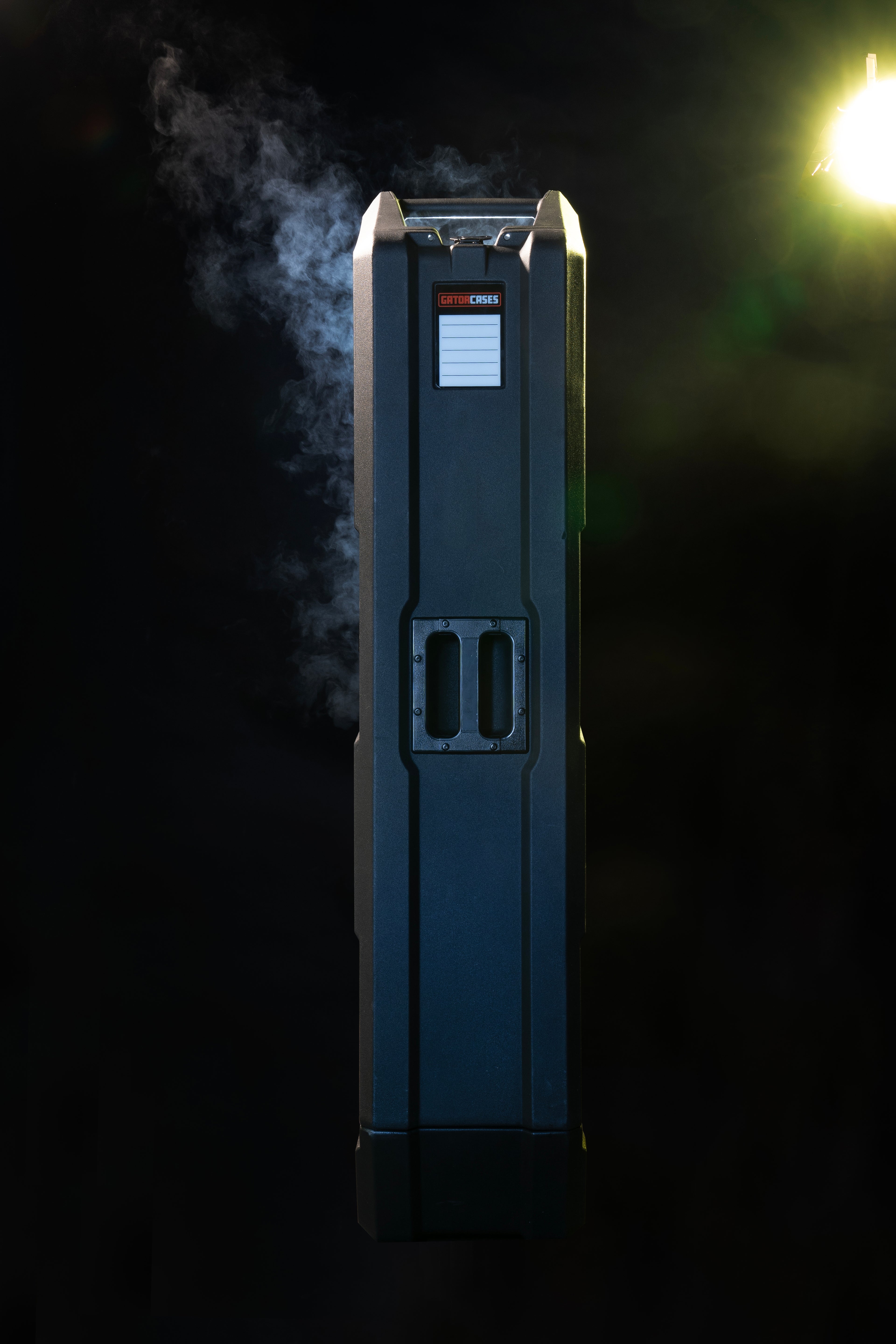 Mini Vault for 2 Electric Bass Guitars