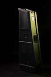 Mini Vault for 2 Electric Bass Guitars