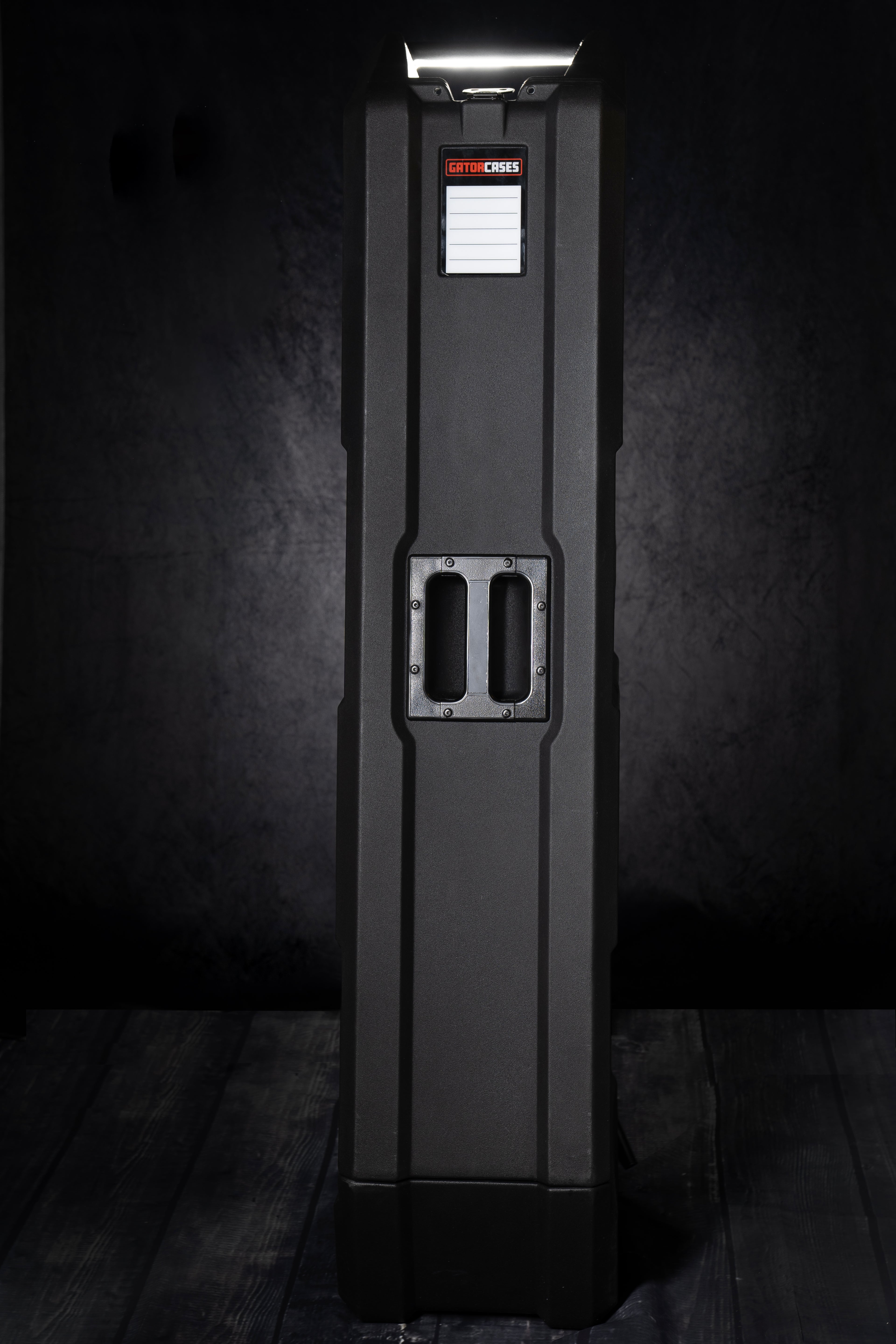 Mini Vault for 2 Electric Bass Guitars
