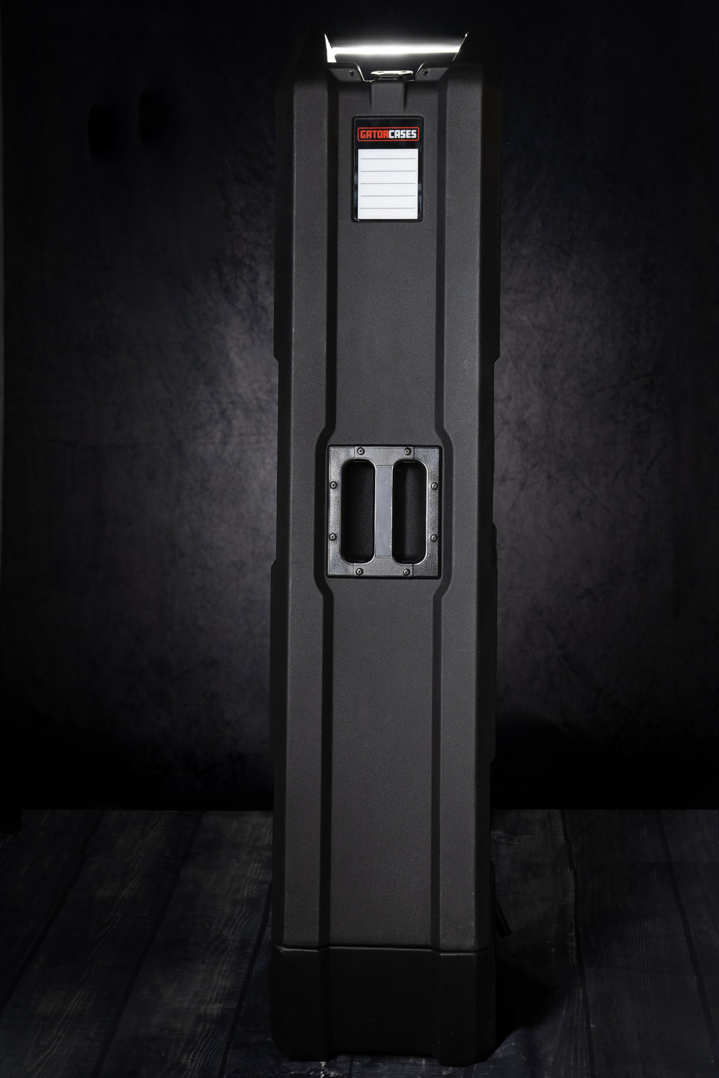 Mini Vault for 2 Electric Bass Guitars