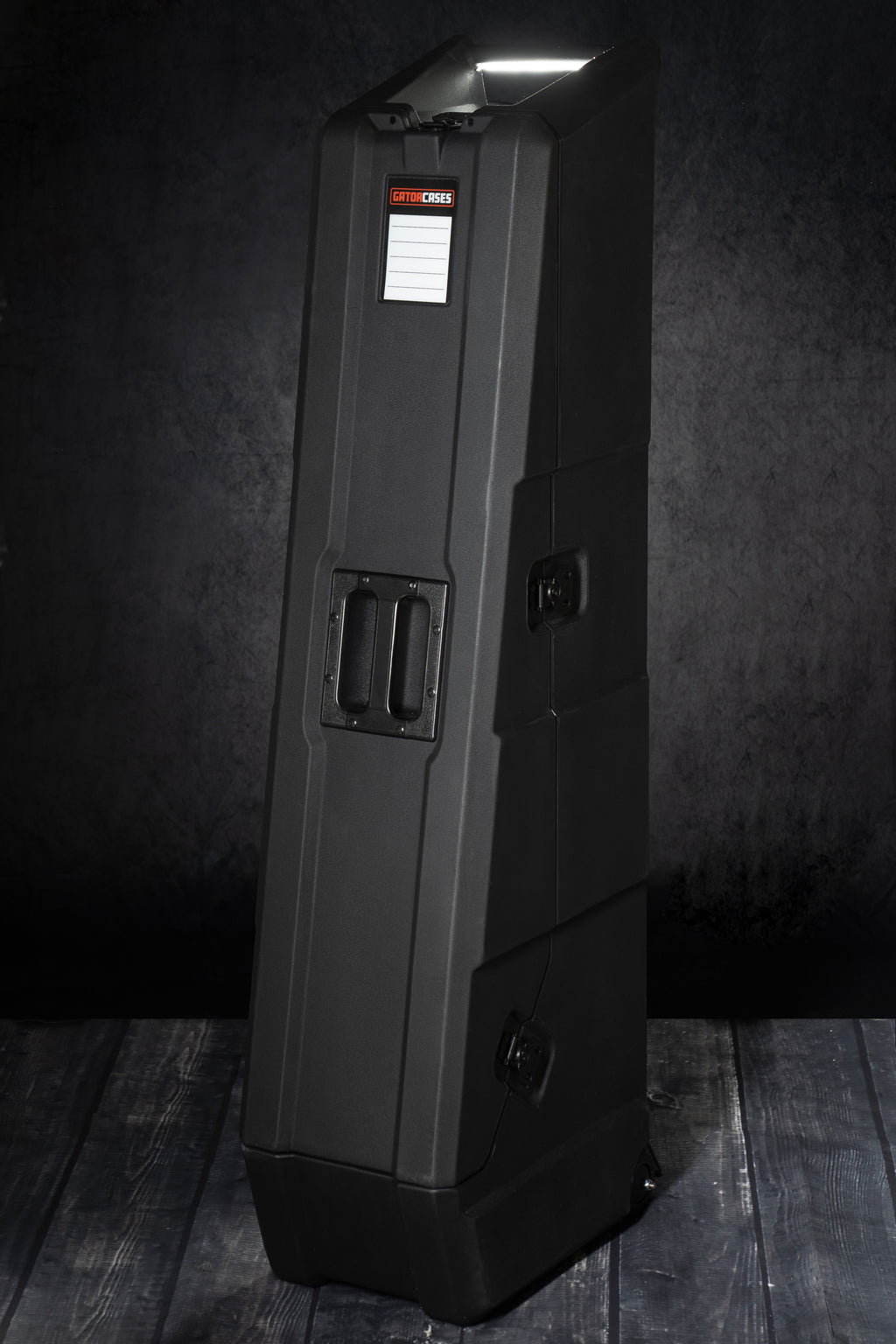 Mini Vault for 2 Electric Bass Guitars