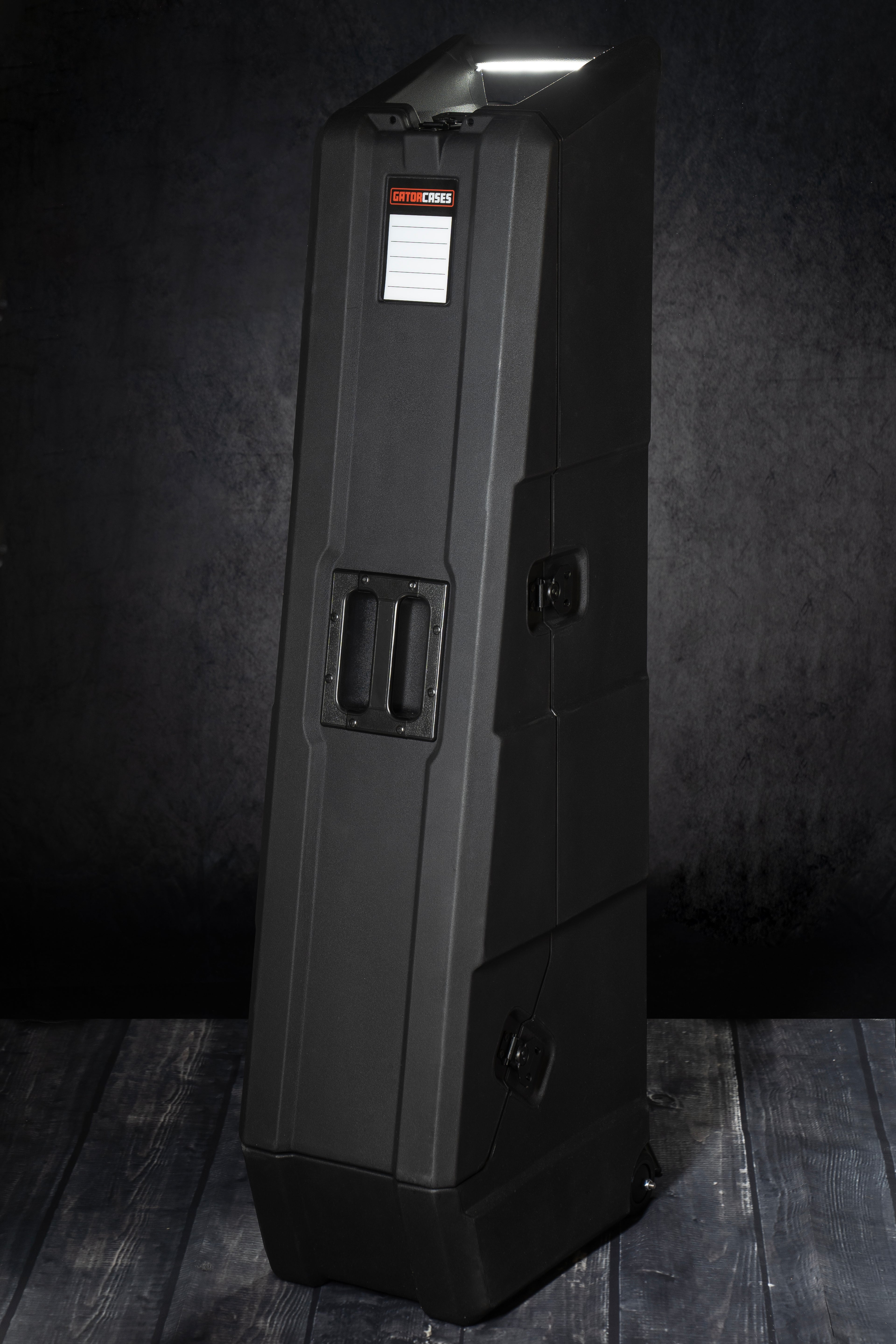 Mini Vault for 2 Electric Bass Guitars