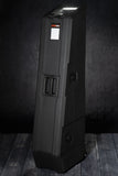 Mini Vault for 2 Electric Bass Guitars