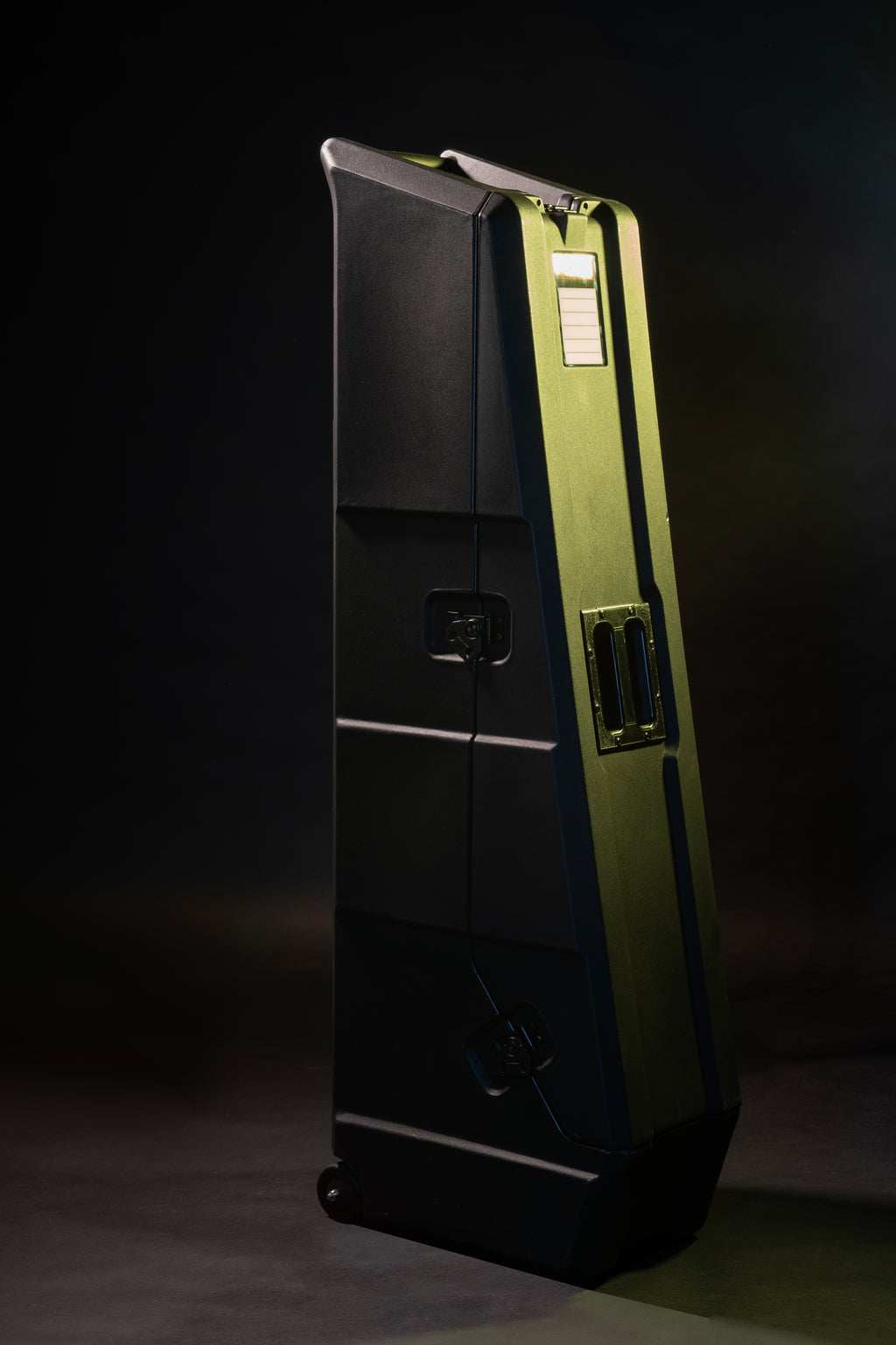 Mini Vault for 2 Electric Bass Guitars