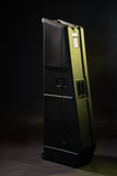 Mini Vault for 2 Electric Bass Guitars