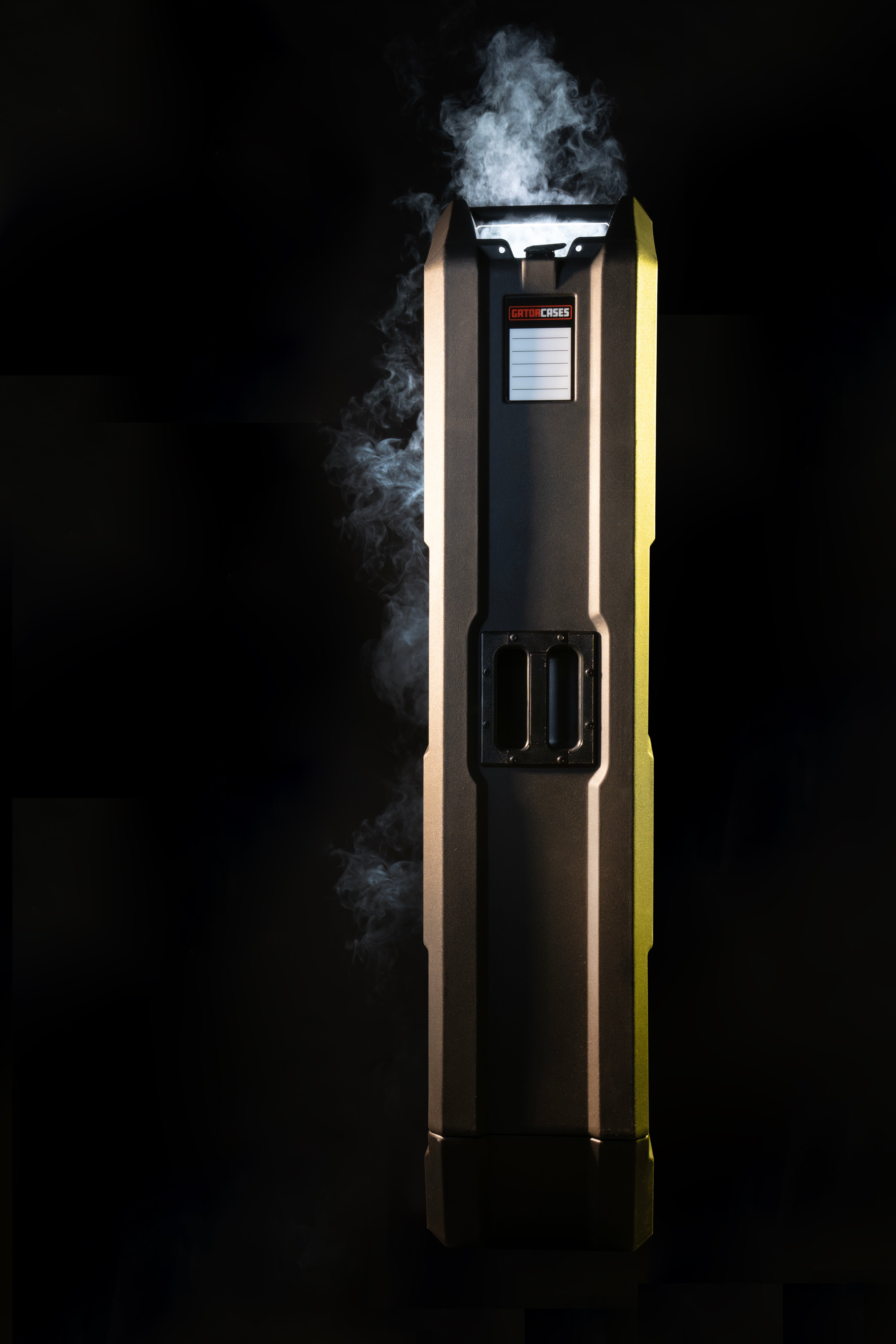 Mini Vault for 2 Electric Bass Guitars