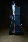 Mini Vault for 2 Electric Bass Guitars