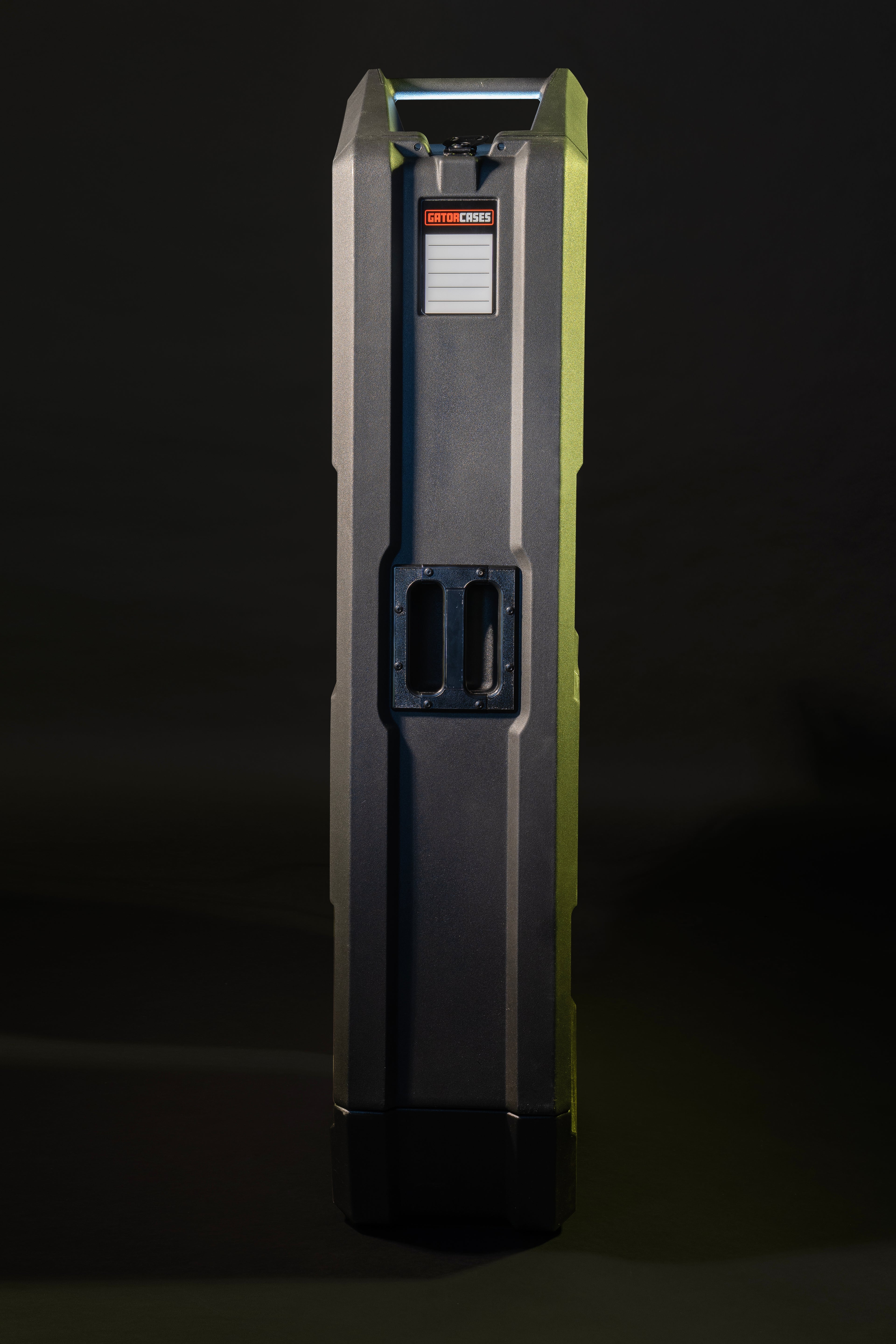 Mini Vault for 2 Electric Bass Guitars