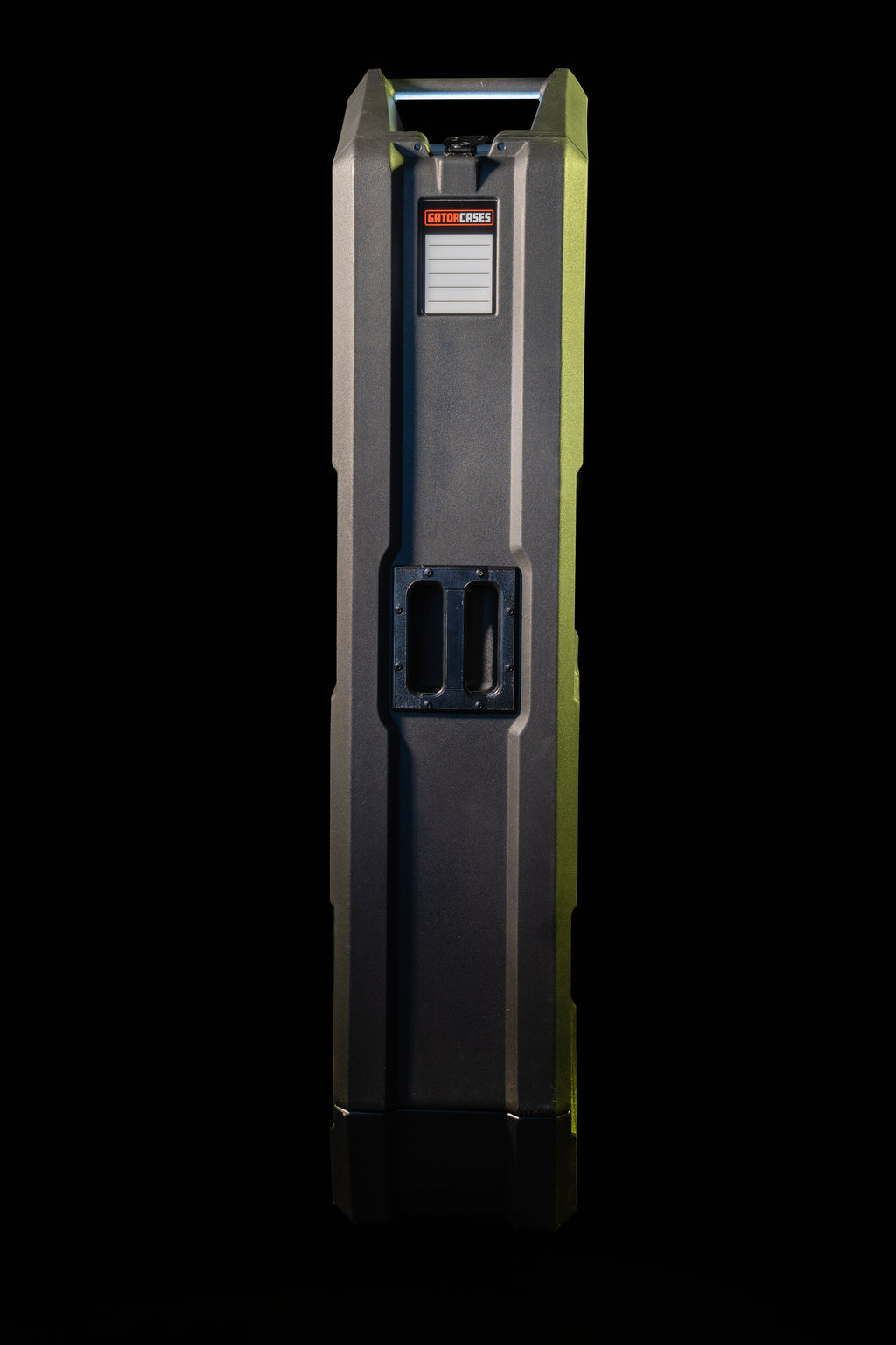 Mini Vault for 2 Electric Bass Guitars