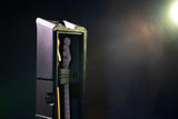 Mini Vault for 2 Electric Bass Guitars