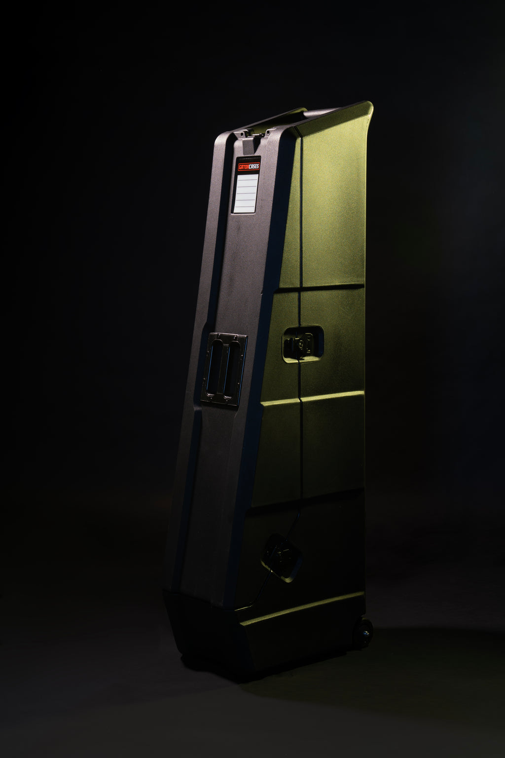 Mini Vault for 2 Electric Bass Guitars