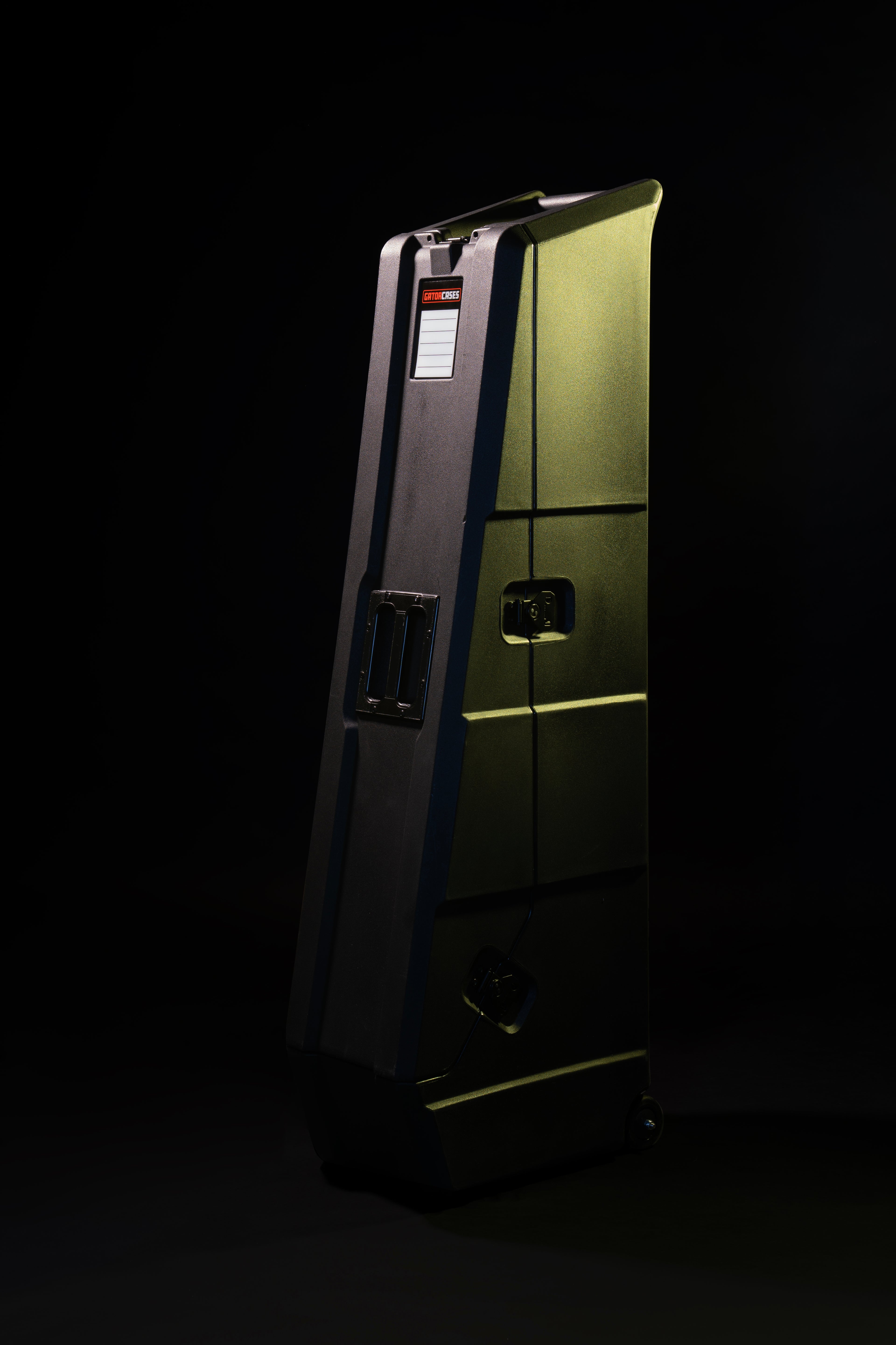 Mini Vault for 2 Electric Bass Guitars