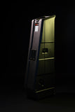 Mini Vault for 2 Electric Bass Guitars