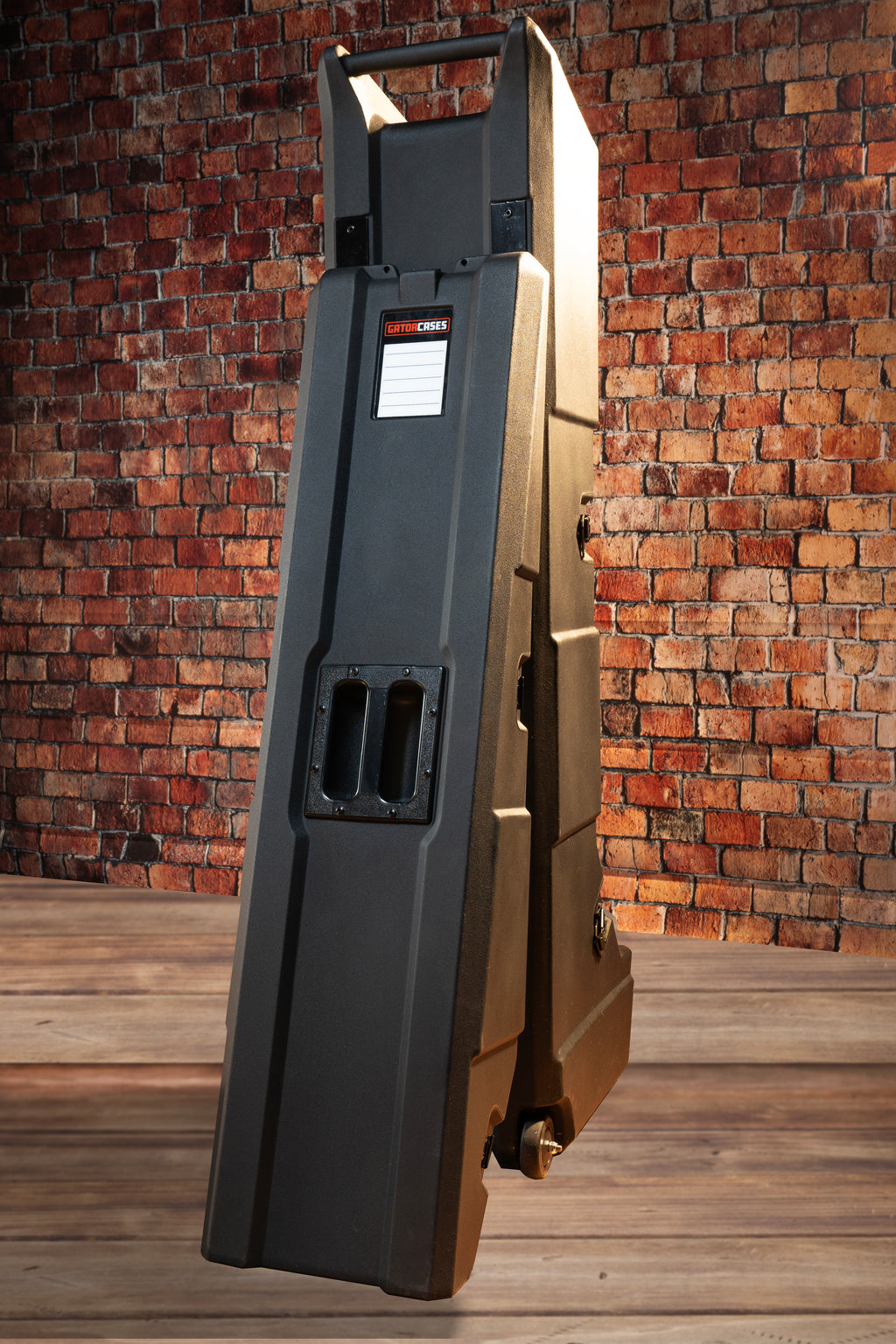 Mini Vault for 2 Electric Bass Guitars
