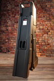 Mini Vault for 2 Electric Bass Guitars