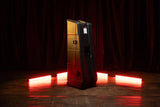 Mini Vault for 2 Electric Guitars