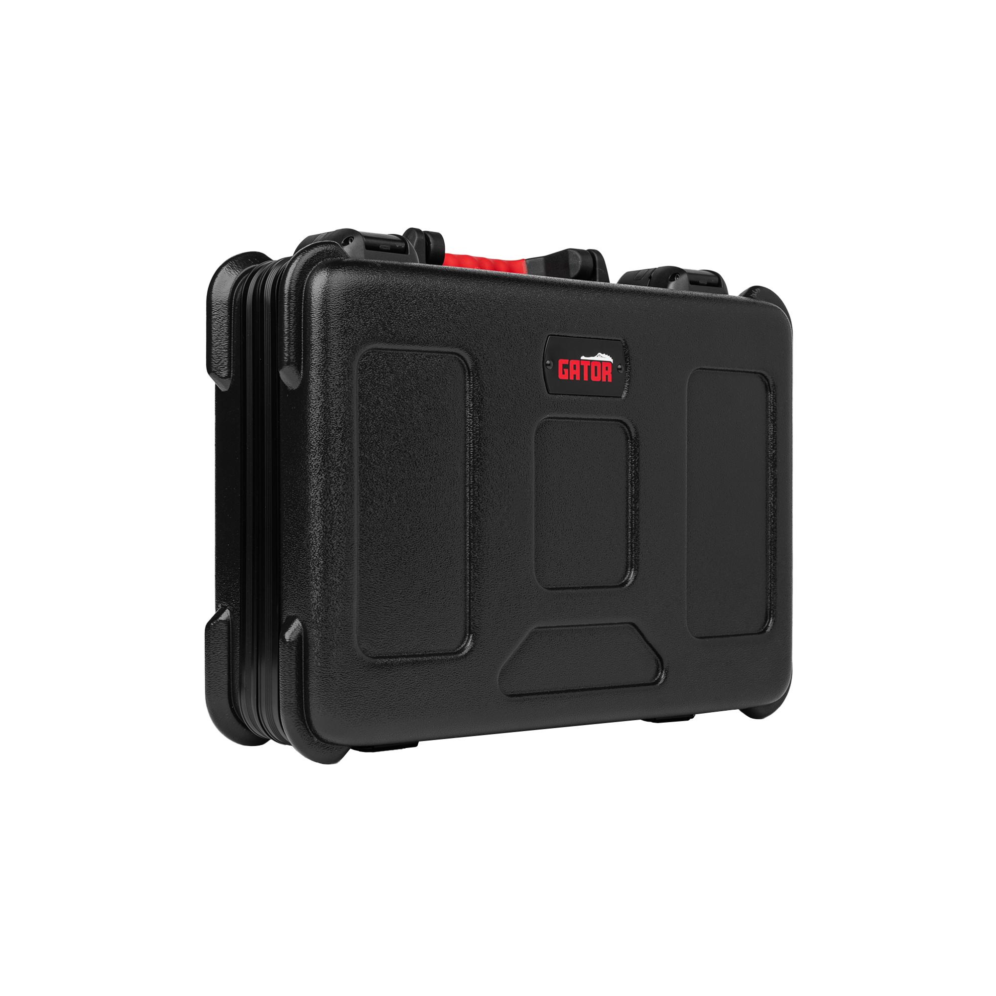Case for Mini Amp Modelers