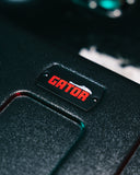 Case for Mini Amp Modelers