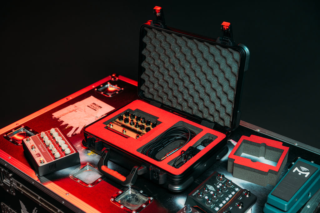 Case for Mini Amp Modelers