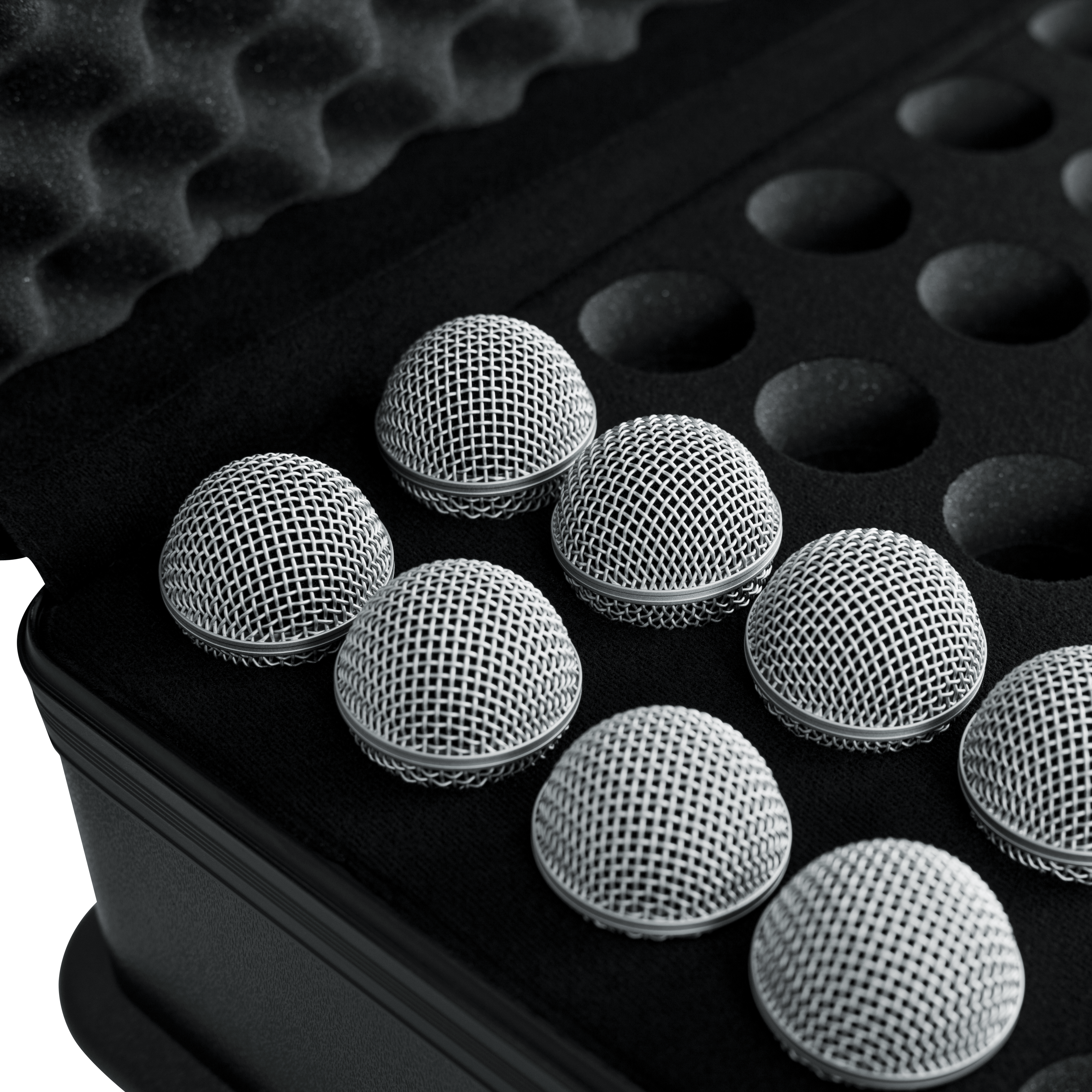 TSA ATA Molded Case w/ Drops for (30) Mics