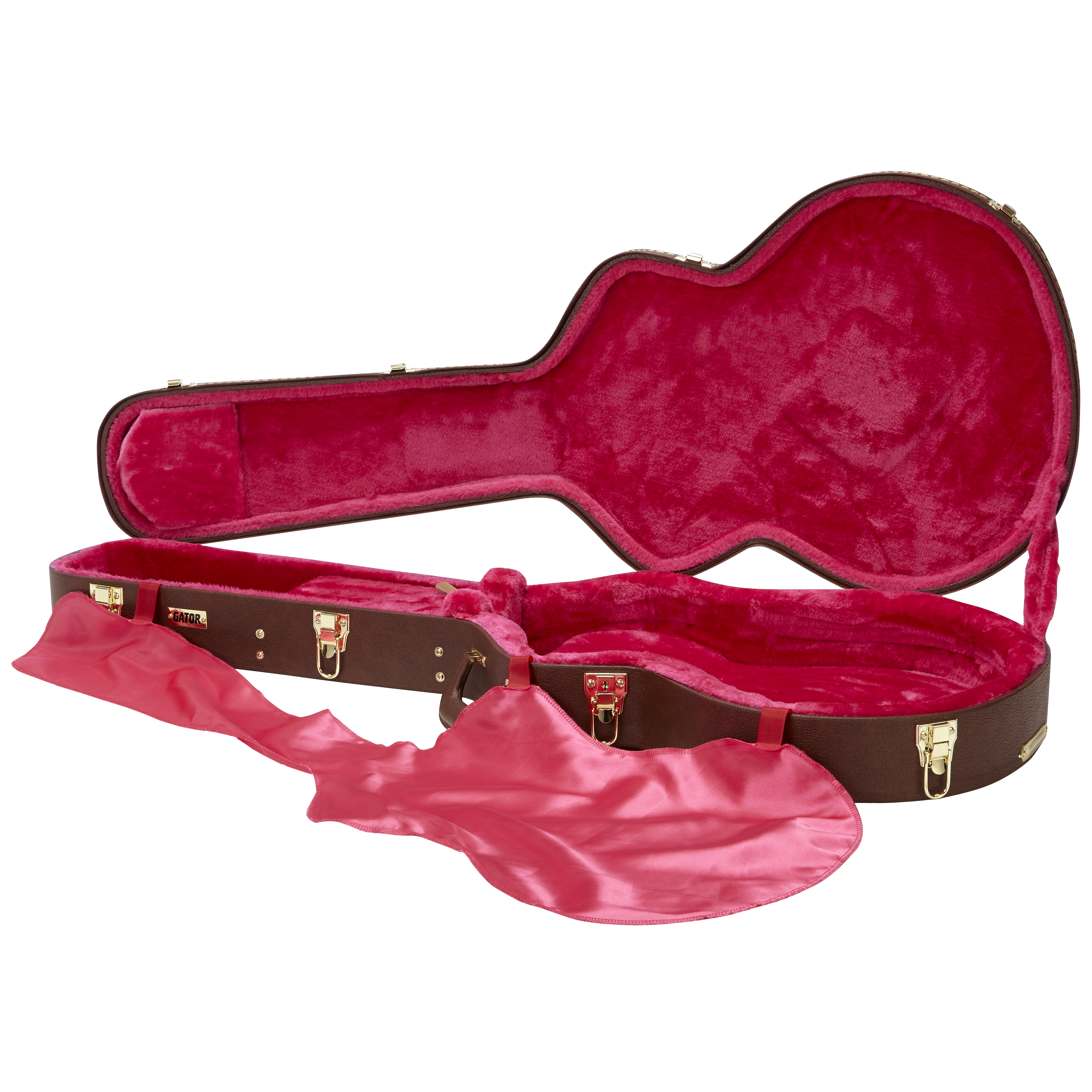 Semi-Hollow Guitar Deluxe Wood Case