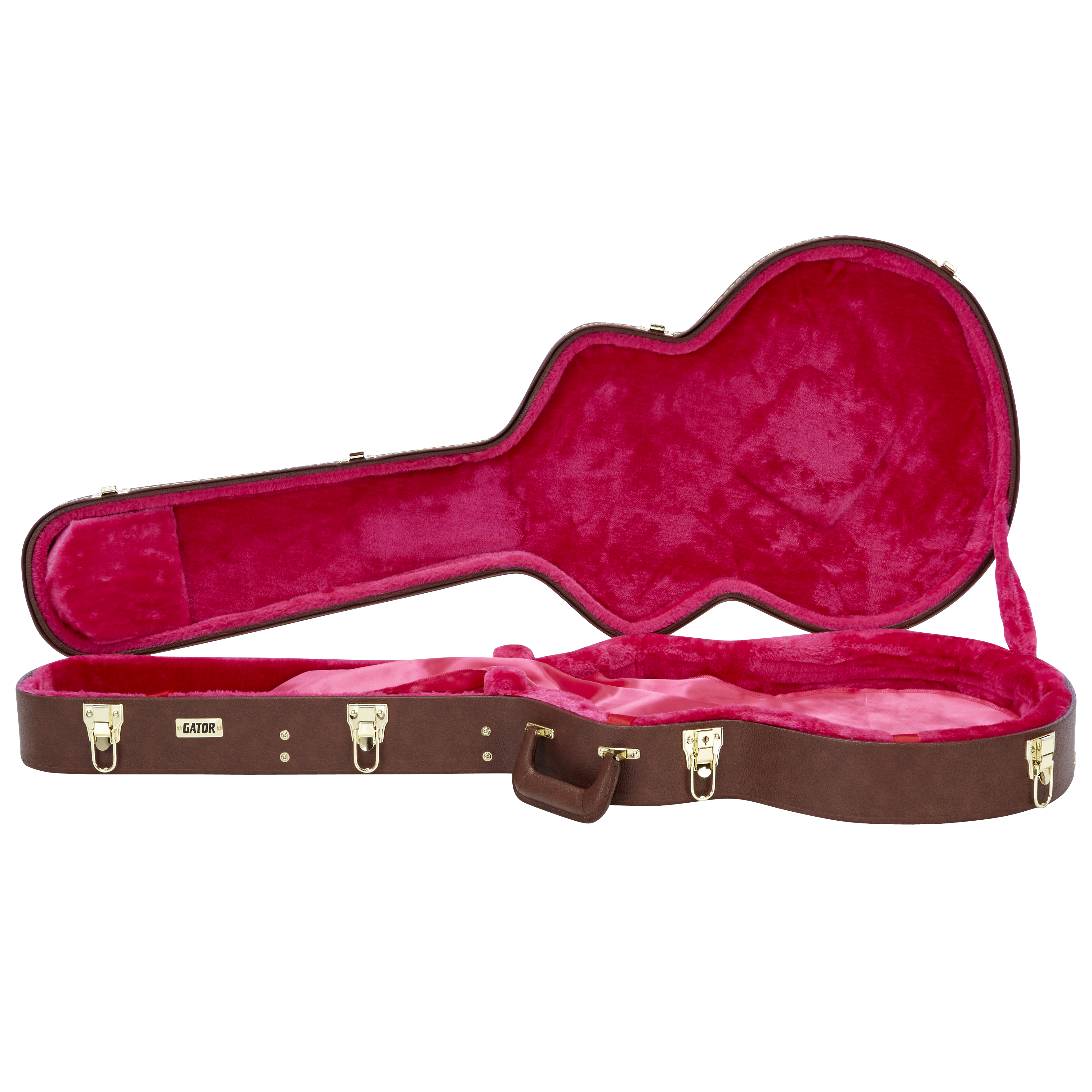 Semi-Hollow Guitar Deluxe Wood Case