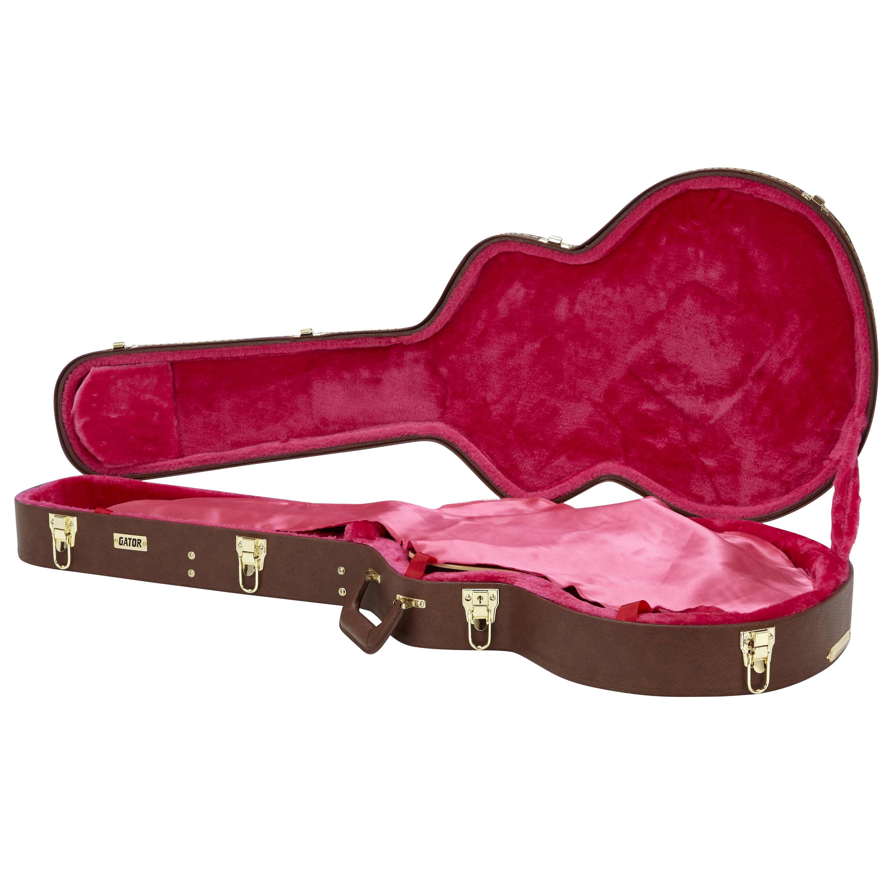 Semi-Hollow Guitar Deluxe Wood Case