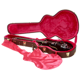 Semi-Hollow Guitar Deluxe Wood Case
