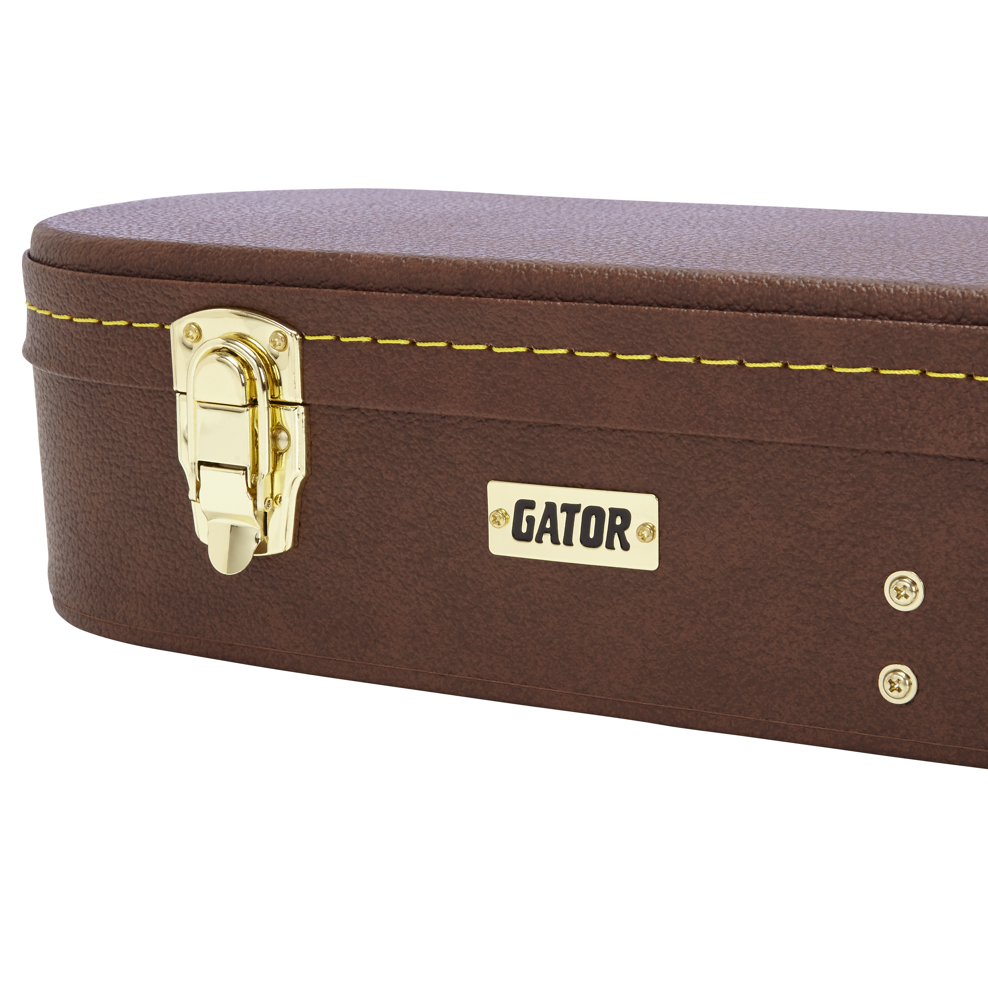 Semi-Hollow Guitar Deluxe Wood Case