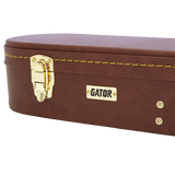 Semi-Hollow Guitar Deluxe Wood Case