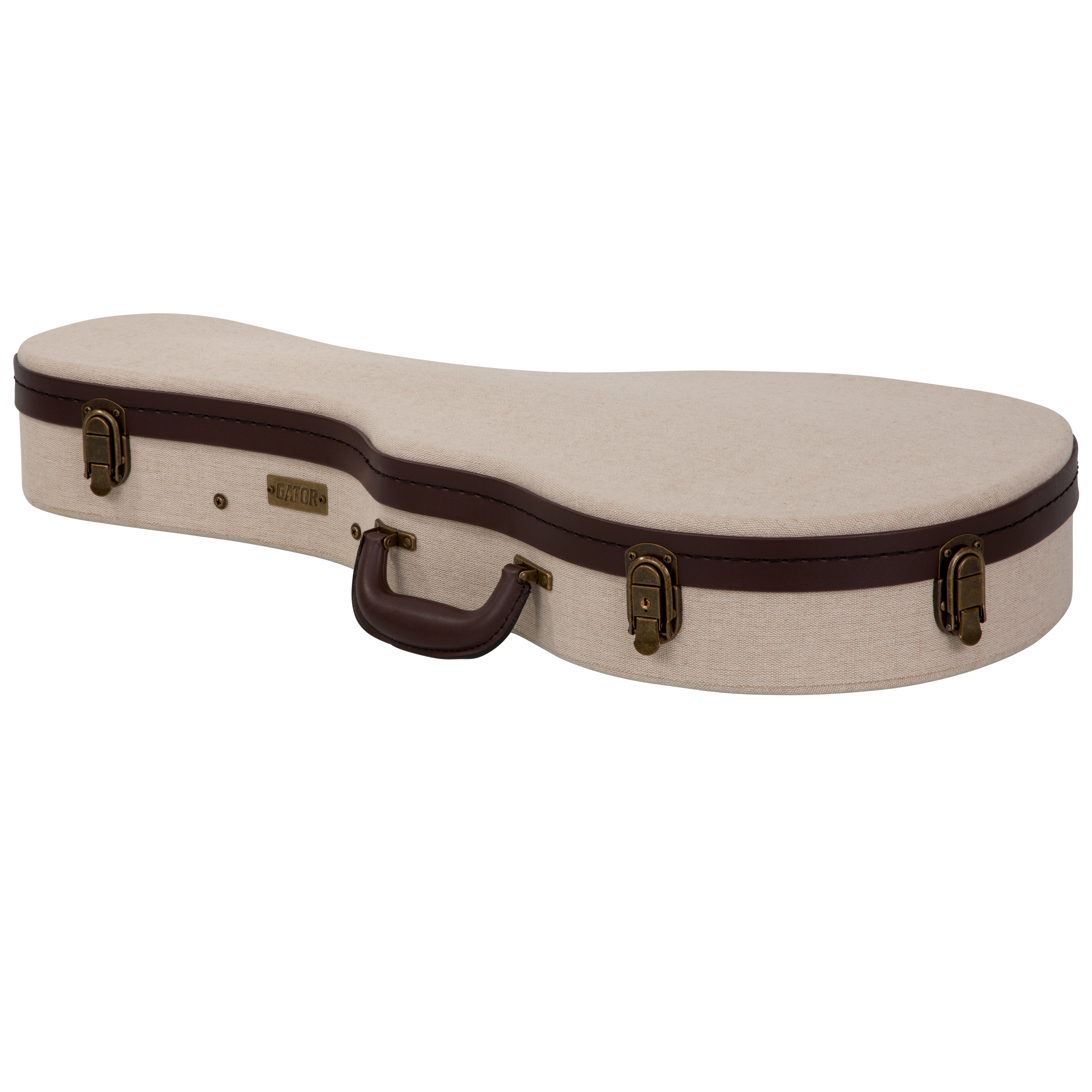 Journeyman Mandolin Deluxe Wood Case