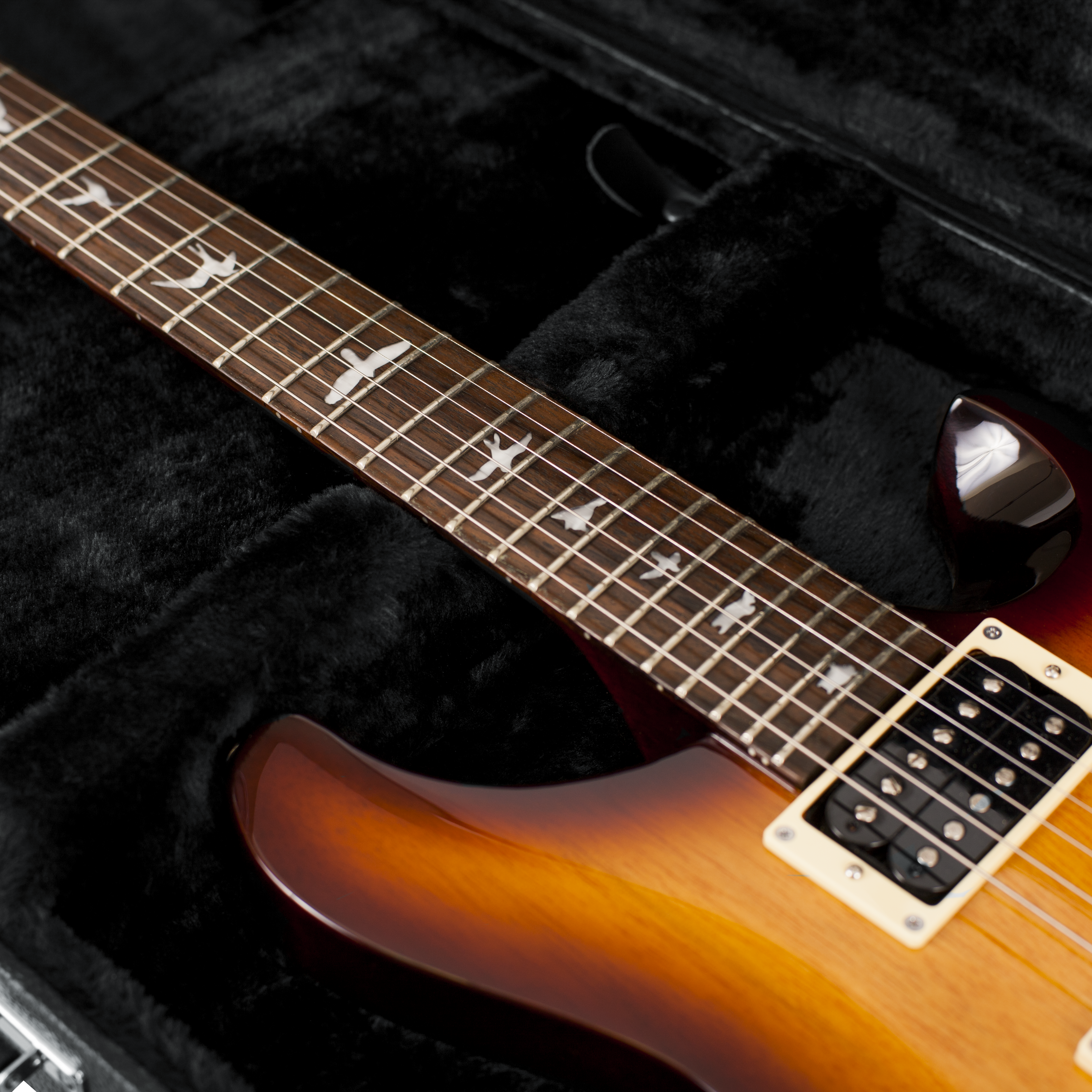 PRS Style & Wide Body Electric Case