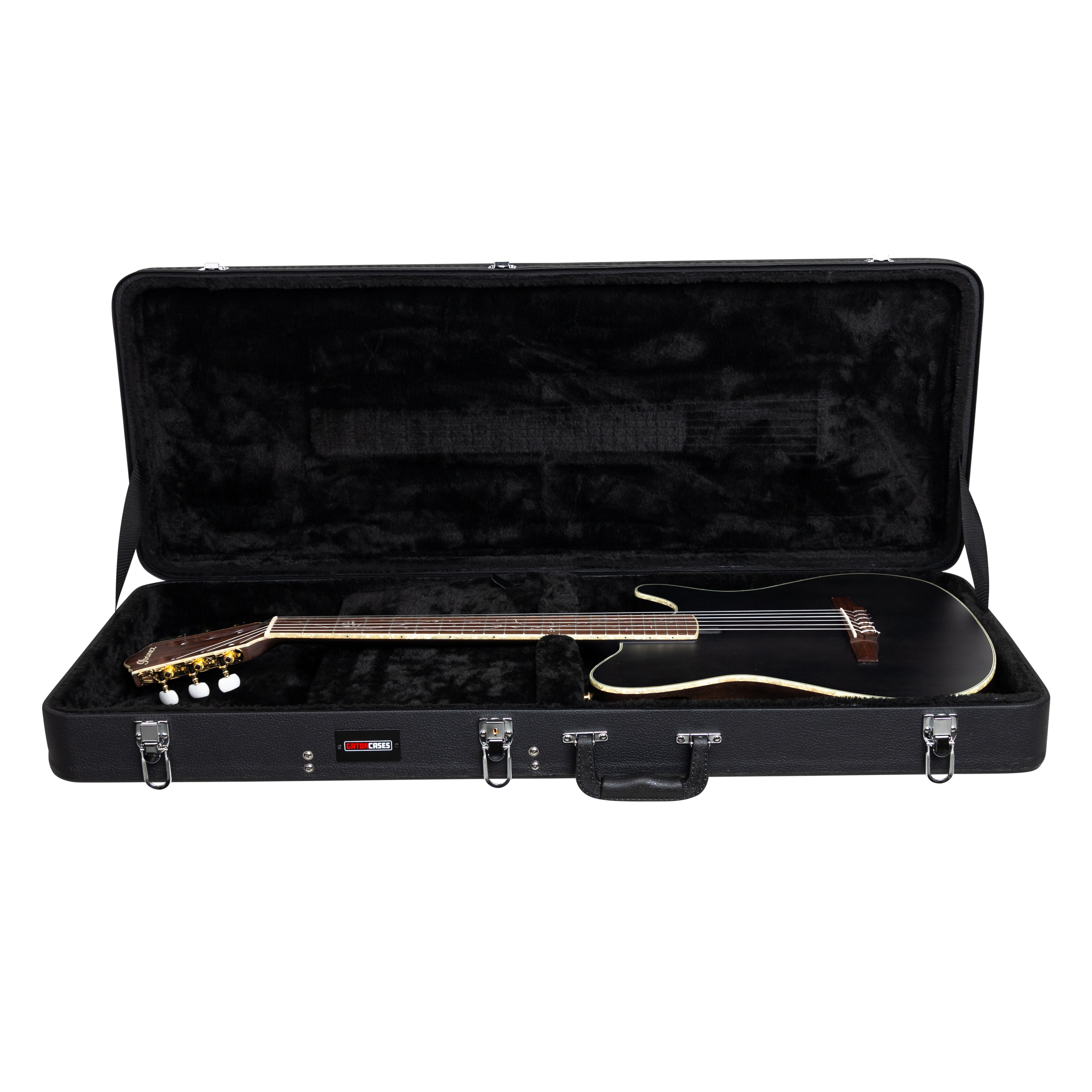 Ibanez TOD and FRH Guitar Case