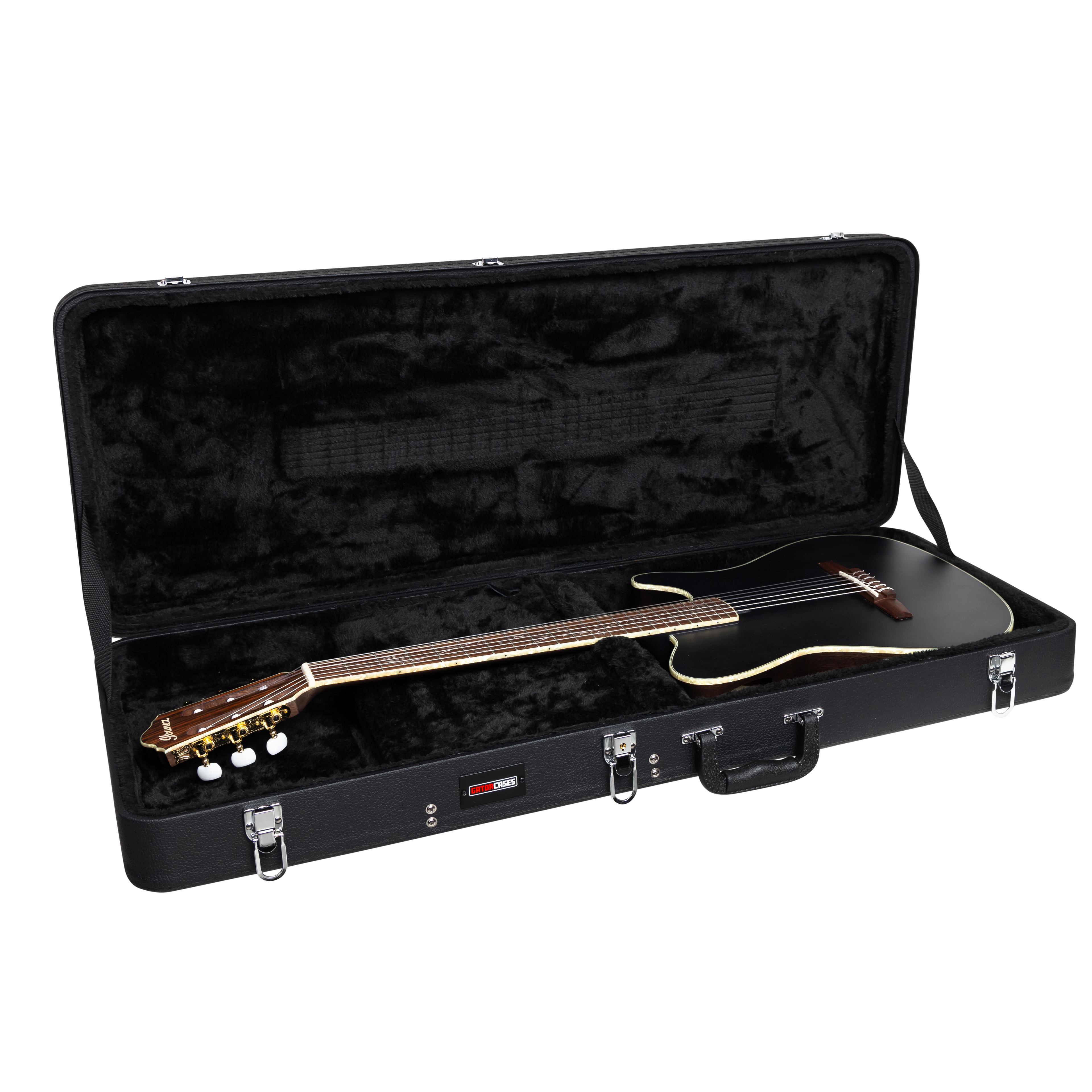 Ibanez TOD and FRH Guitar Case