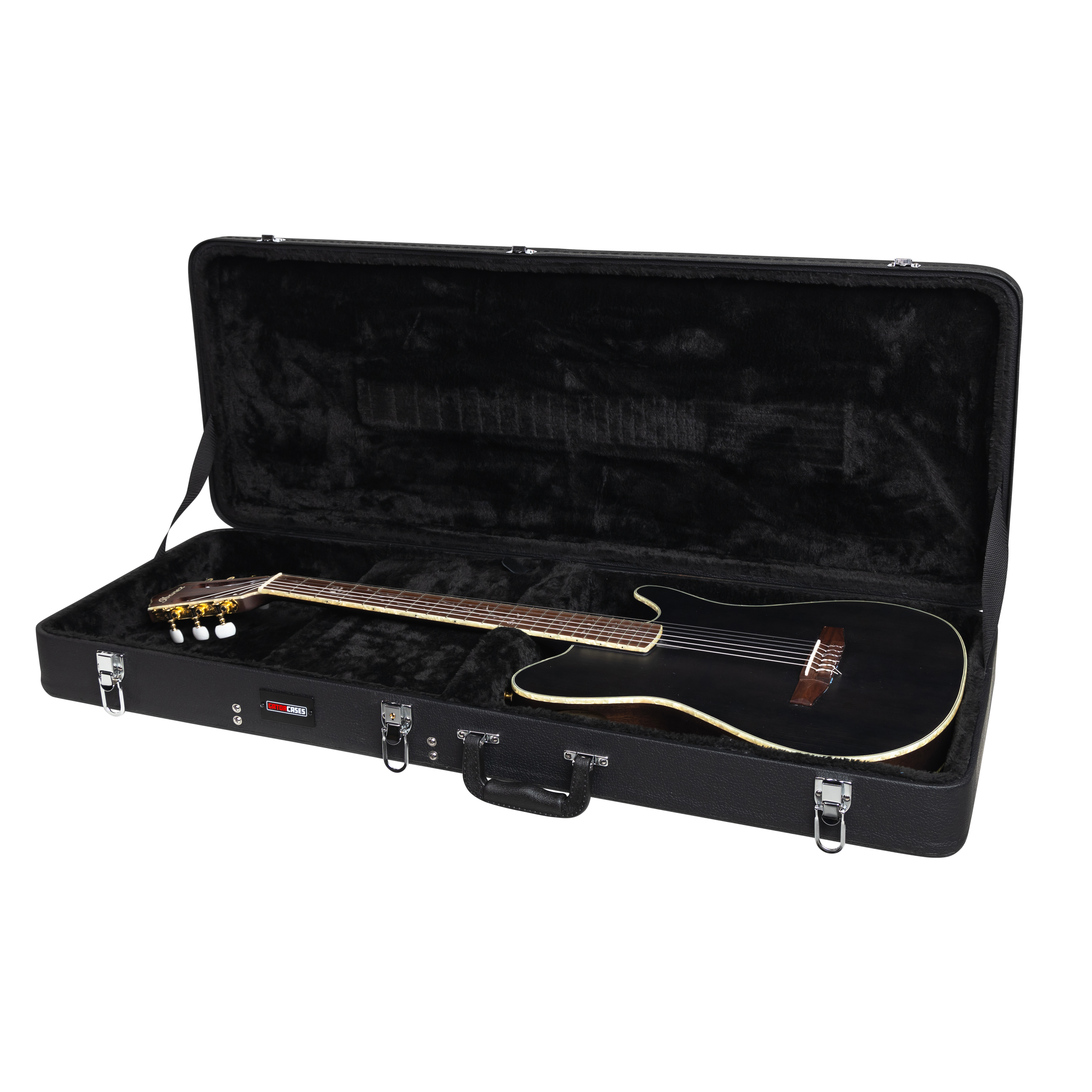 Ibanez TOD and FRH Guitar Case