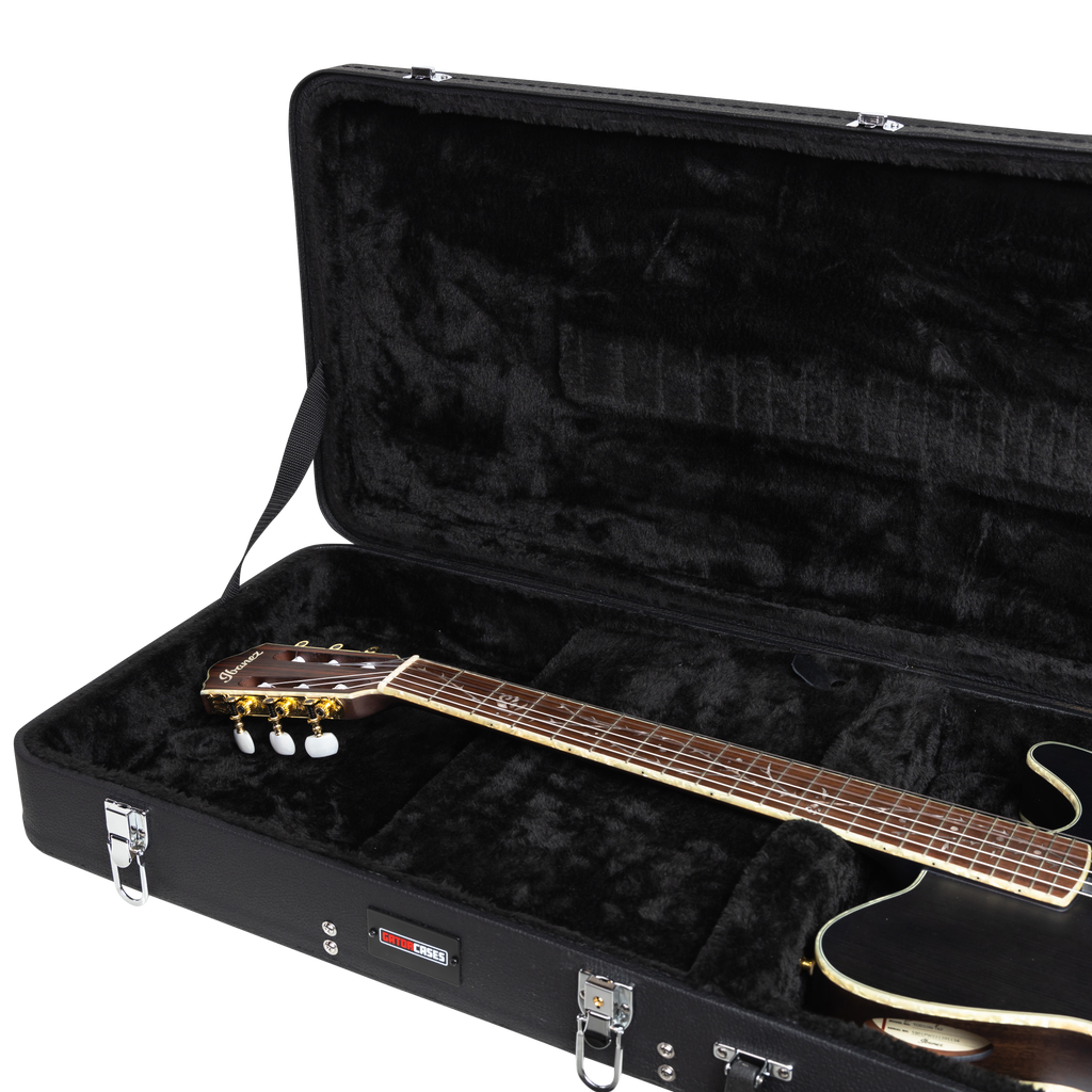 Ibanez TOD and FRH Guitar Case
