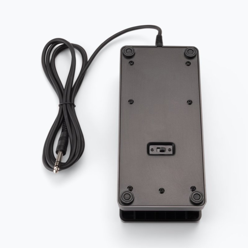 Expression Pedal