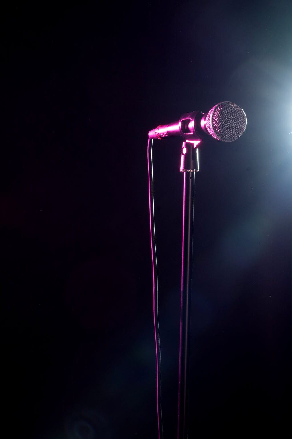 Rok-It Round Base Mic Stand