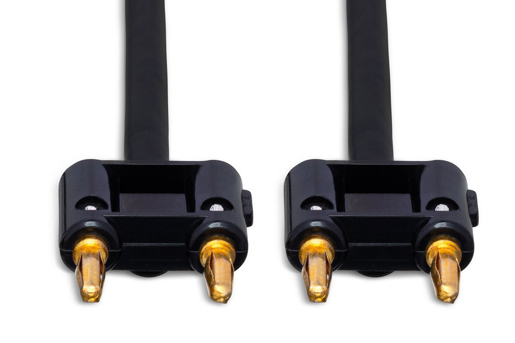 Speaker Cable, Hosa Dual Banana to Same - Front