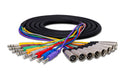Balanced Snake, 1/4 in TRS to XLR3M - Full