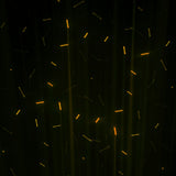 Chauvet DJ Scorpion Storm RGBY