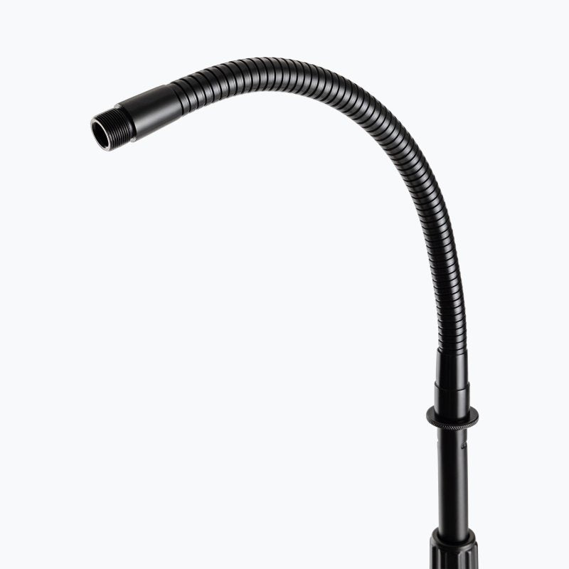 Mic Stand with Gooseneck